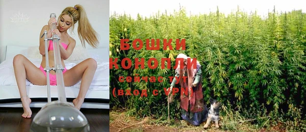 дмт Зеленодольск