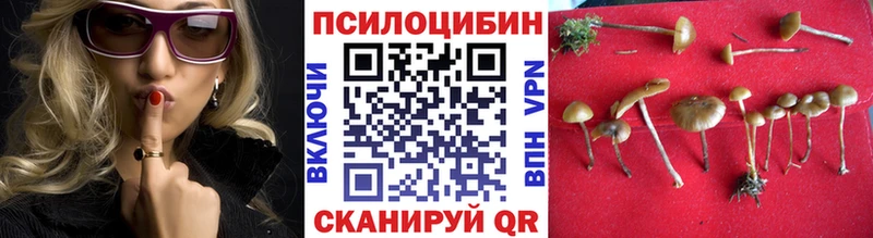 Псилоцибиновые грибы GOLDEN TEACHER  darknet официальный сайт  Ирбит 
